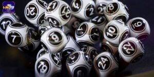 Nhiều con lô được chuyên gia thống kê với tỷ lệ xuất hiện cao