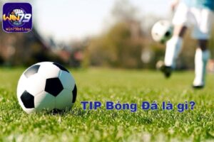 Hiểu đúng về khái niệm tip bóng đá là gì