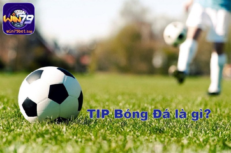 Hiểu đúng về khái niệm tip bóng đá là gì