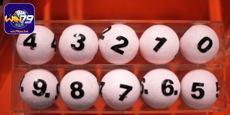 Nhiều bộ đề hay giúp người chơi dễ dàng lựa chọn đặt cược